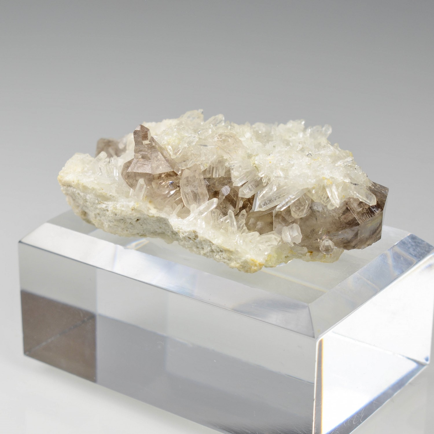 Smoky quartz and quartz - Rade de Brest, Finistère, France