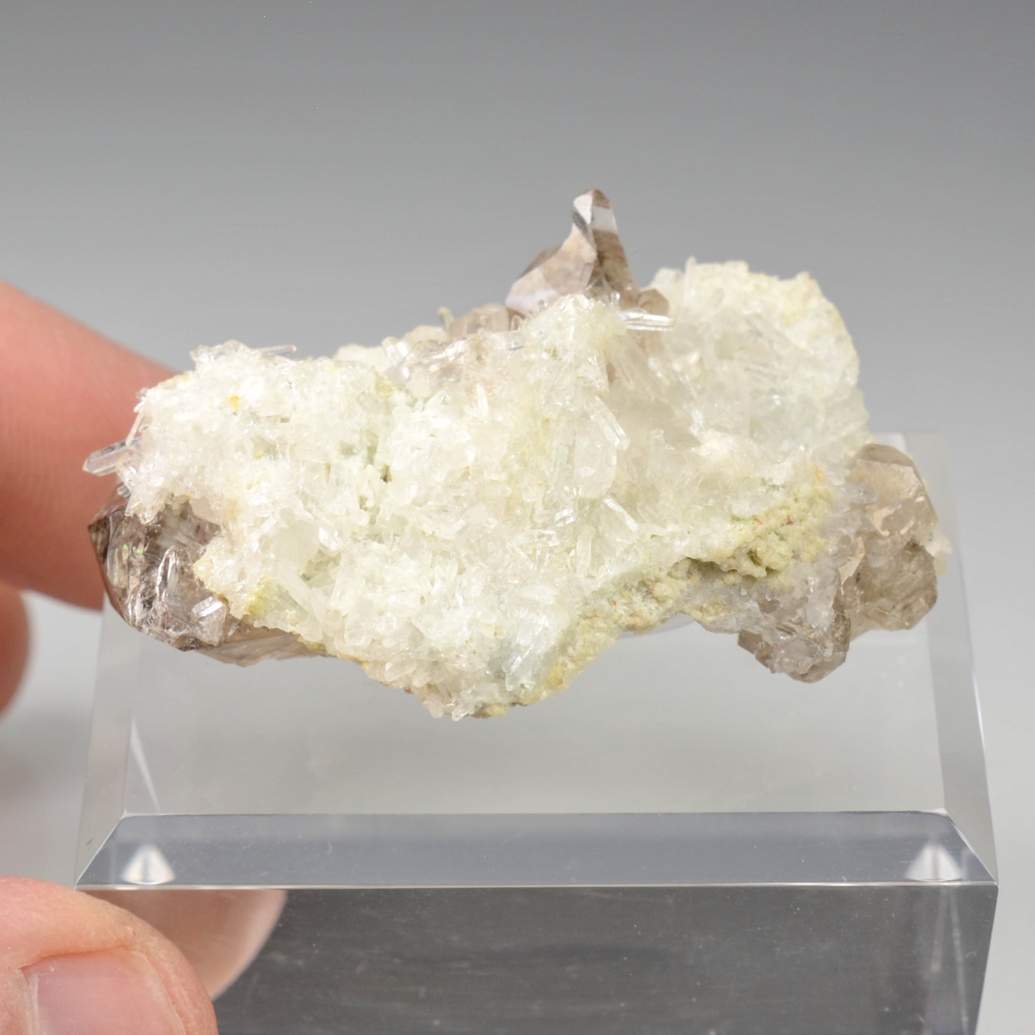 Smoky quartz and quartz - Rade de Brest, Finistère, France