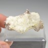 Quartz fumé et quartz - Rade de Brest, Finistère, France