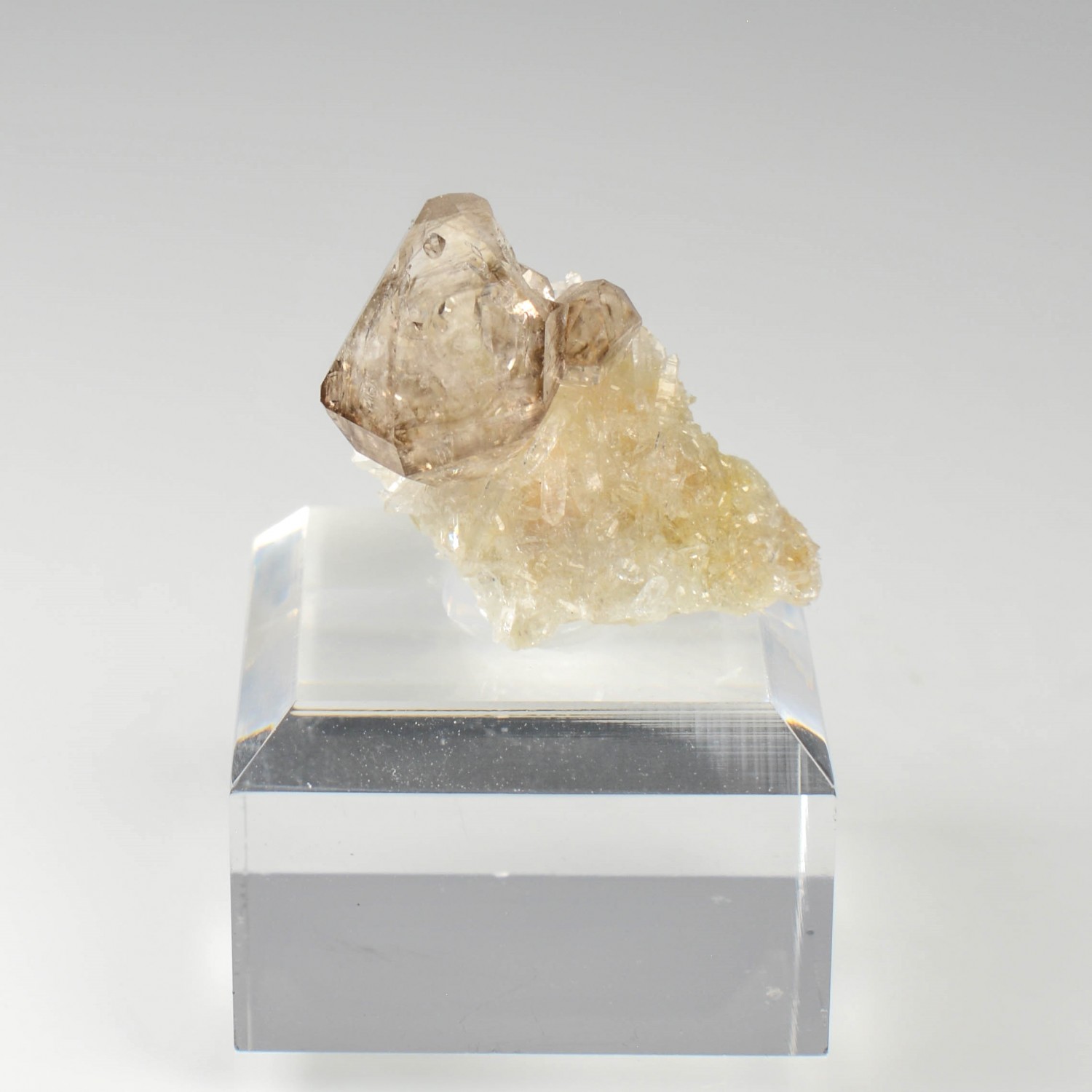 Smoky quartz and quartz - Rade de Brest, Finistère, France