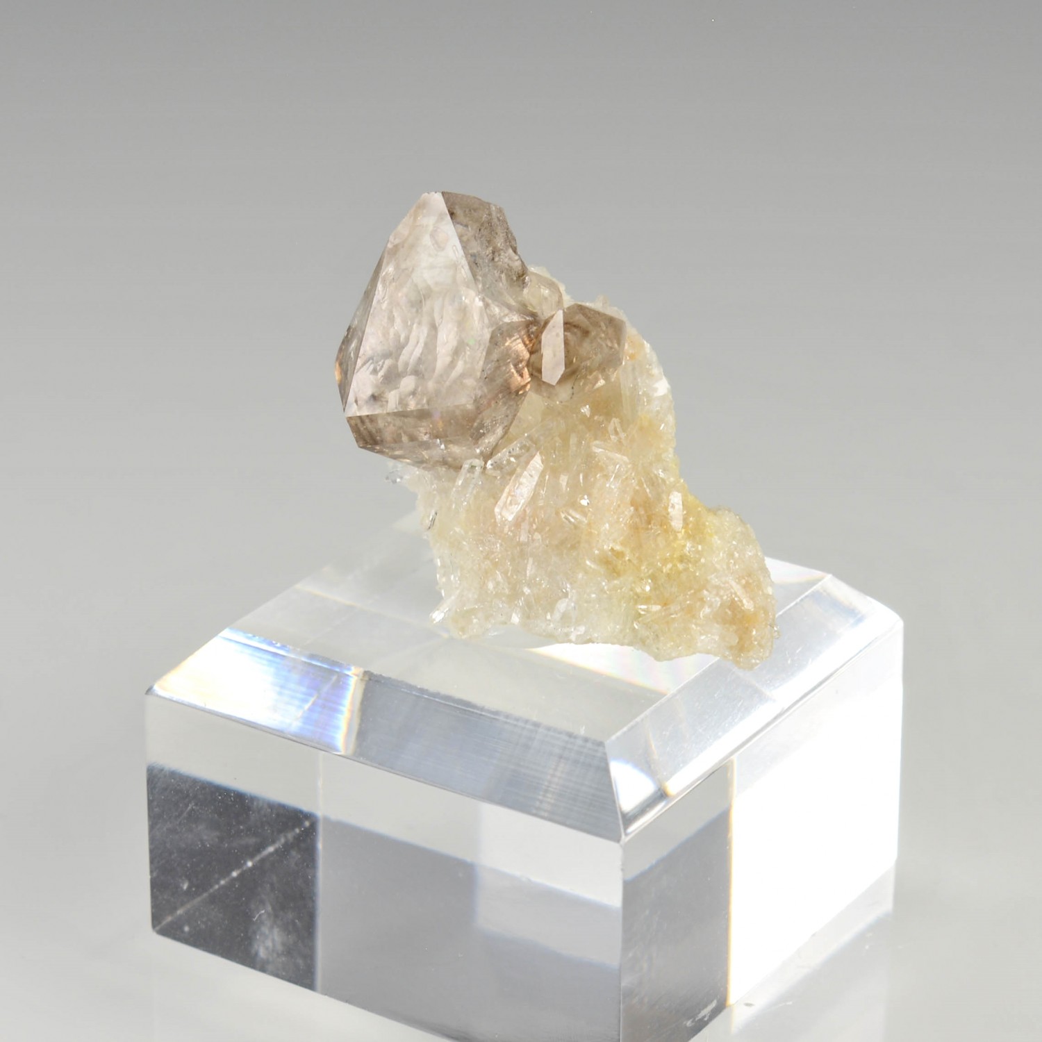 Smoky quartz and quartz - Rade de Brest, Finistère, France