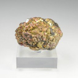 Pyrite irisée - District de Kohistan, Pakistan