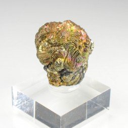 Pyrite irisée - District du Kohistan, Pakistan