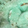 Smithsonite - Yanga Koubenza quarries, M'fouati district, Republic of Congo