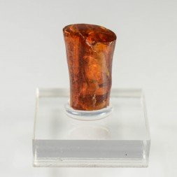 Ambre - Chevrière, Oise, France