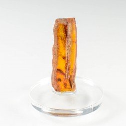 Amber - Chevrière, Oise, France