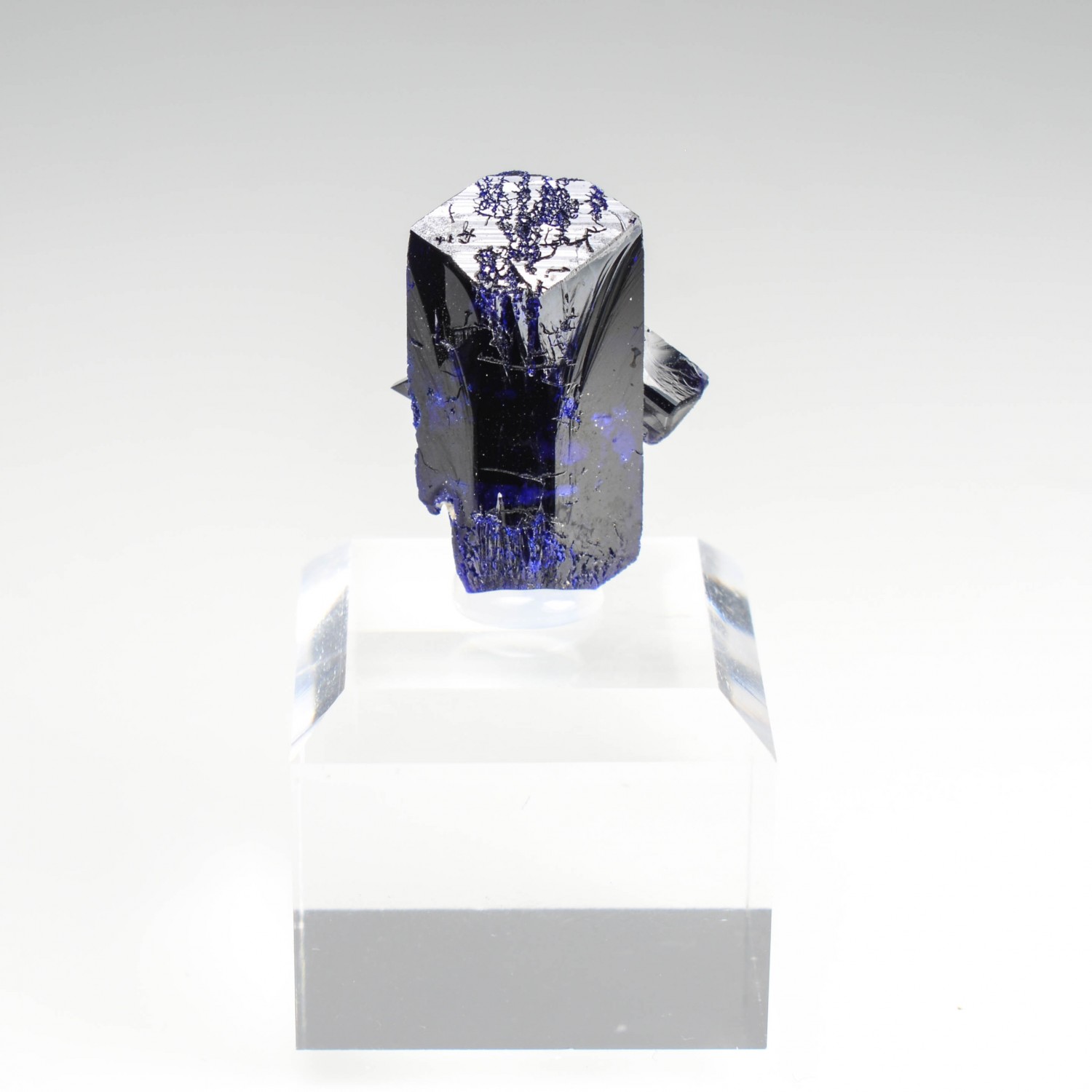 Azurite - Kerrouchen, Morocco