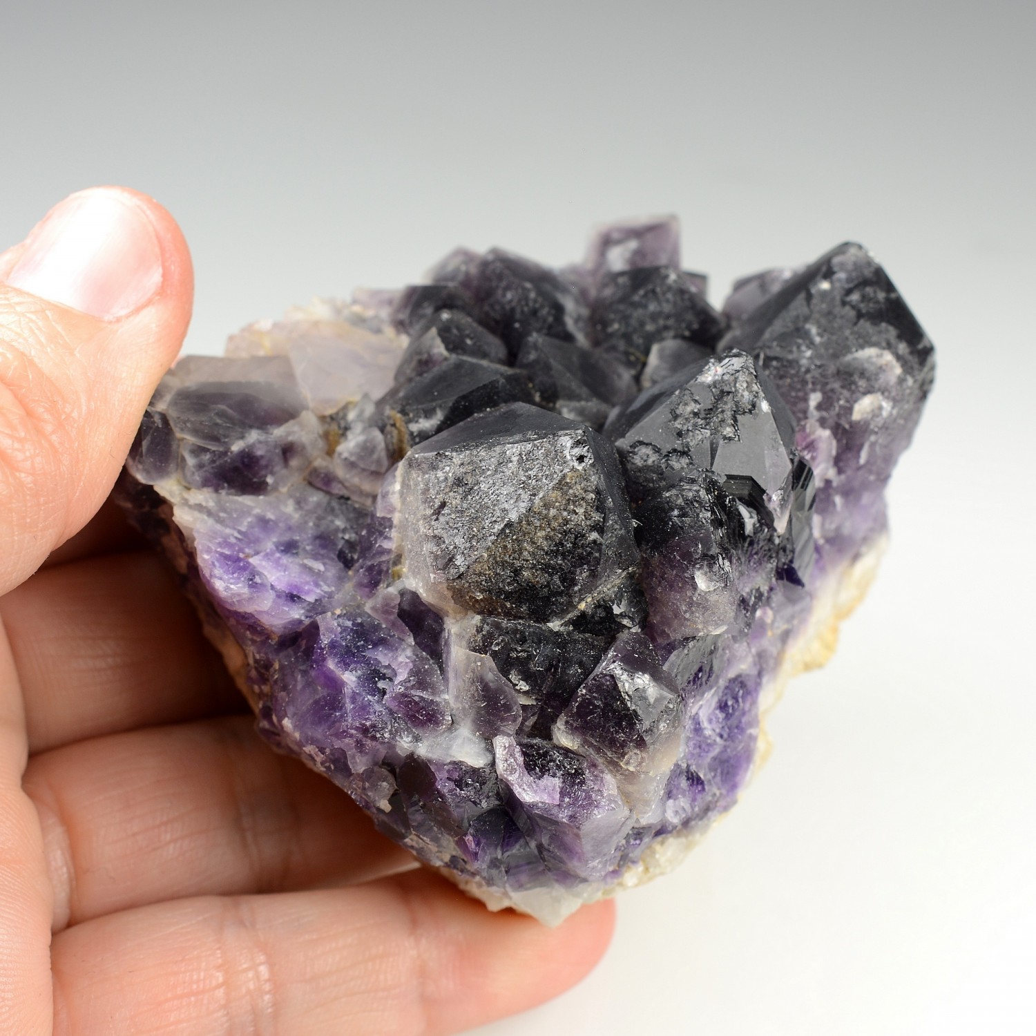 Amethyst - Pégut, Puy-de-Dôme, France