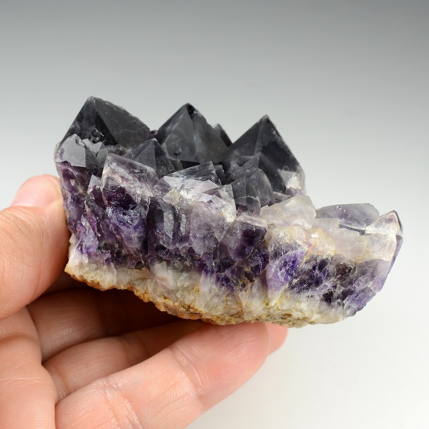 Amethyst - Pégut, Puy-de-Dôme, France