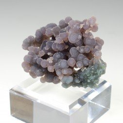 Calcédoine grappe - Mamuju, Sulawesi, Indonésie