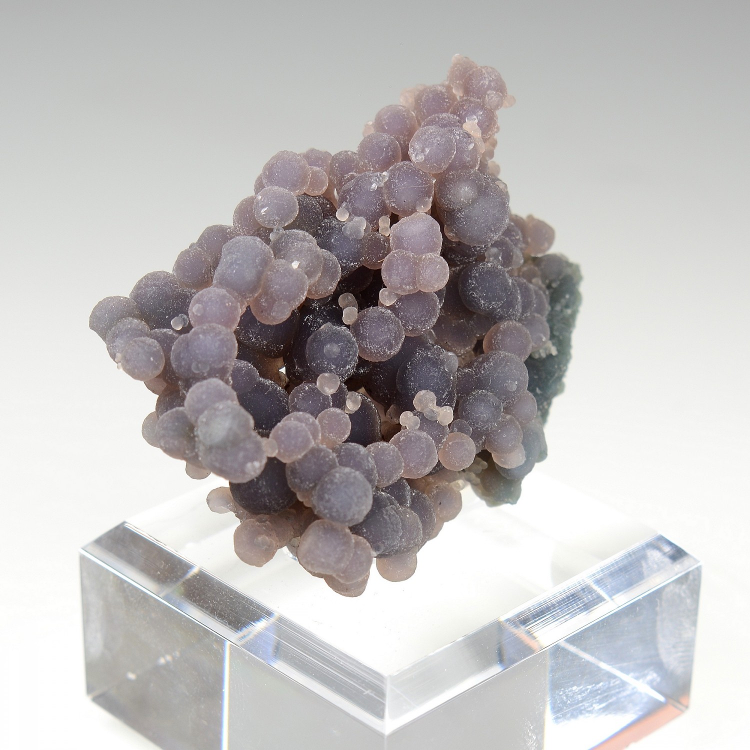Calcédoine grappe - Mamuju, Sulawesi, Indonésie