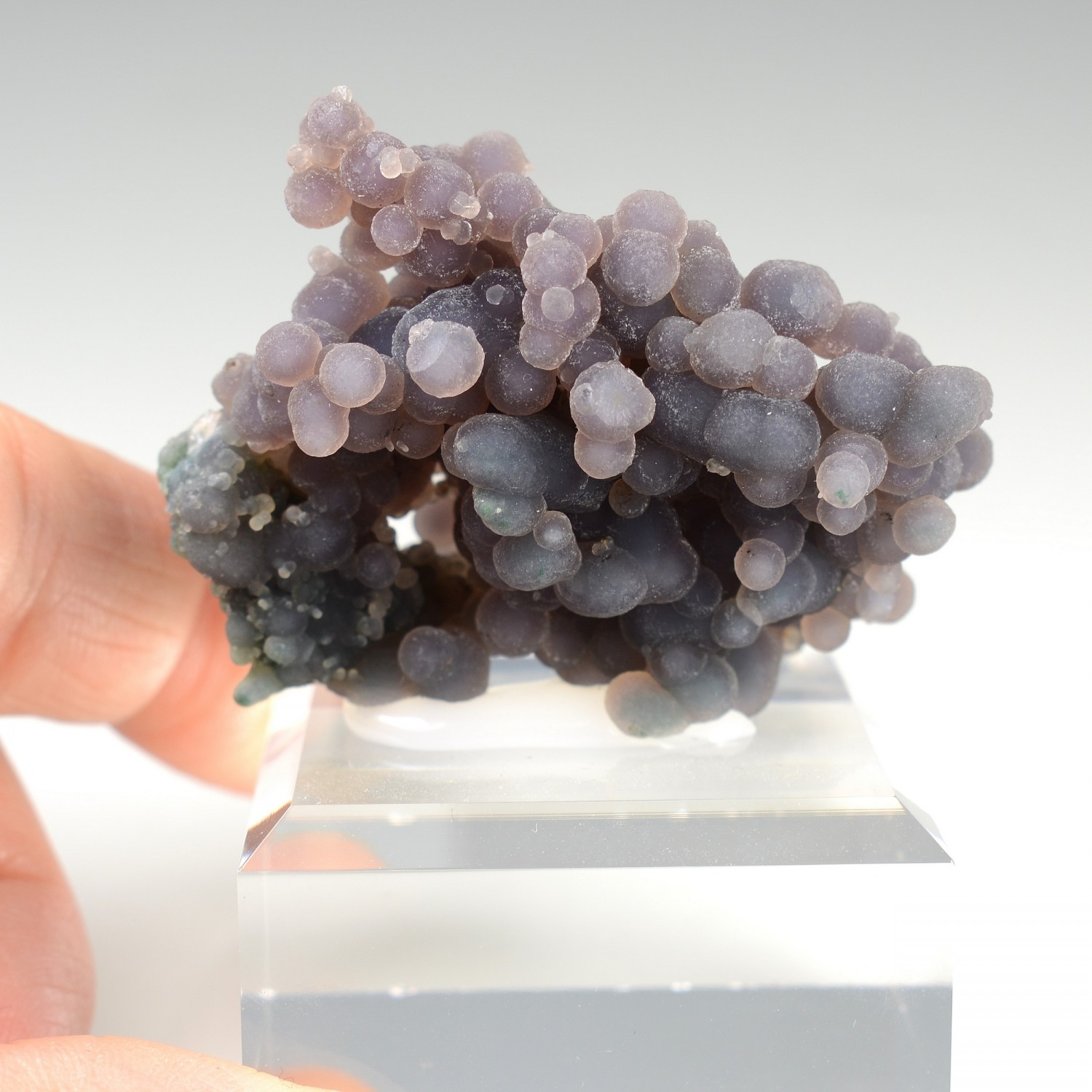 Calcédoine grappe - Mamuju, Sulawesi, Indonésie