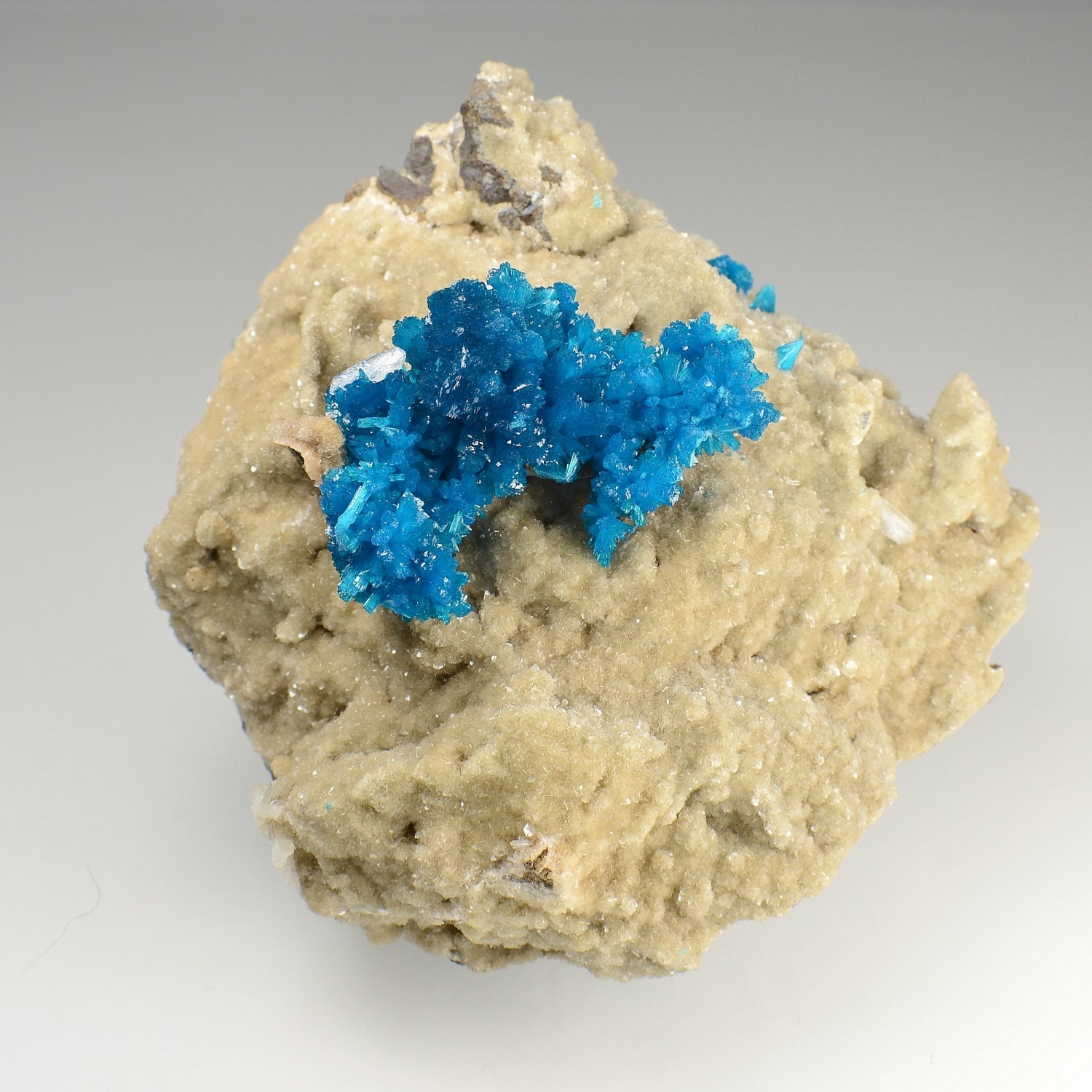 Cavansite sur heulandite - Carrières Wagholi, Poona, Inde