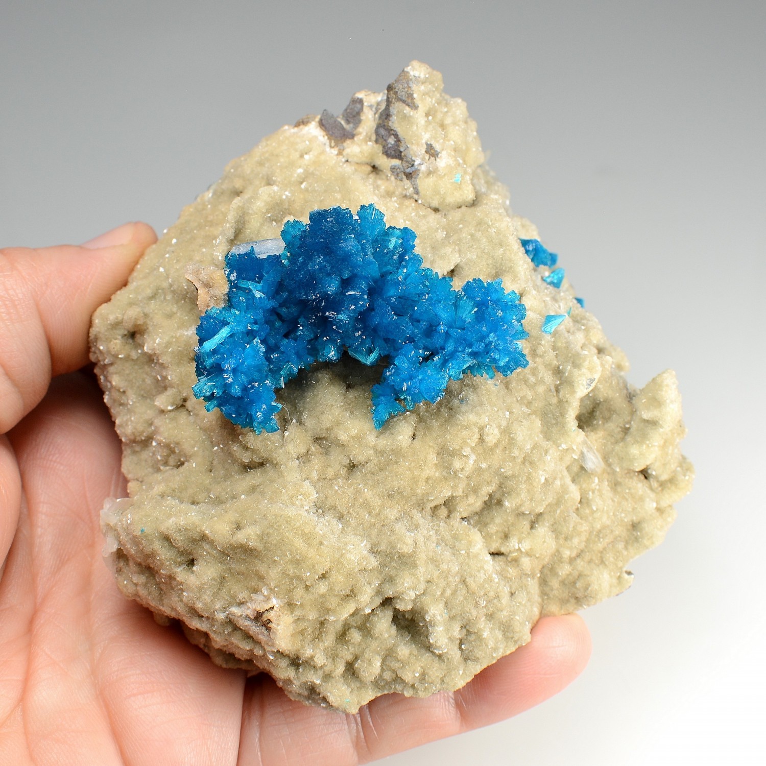 Cavansite on heulandite - Wagholi quarries, Poona, India