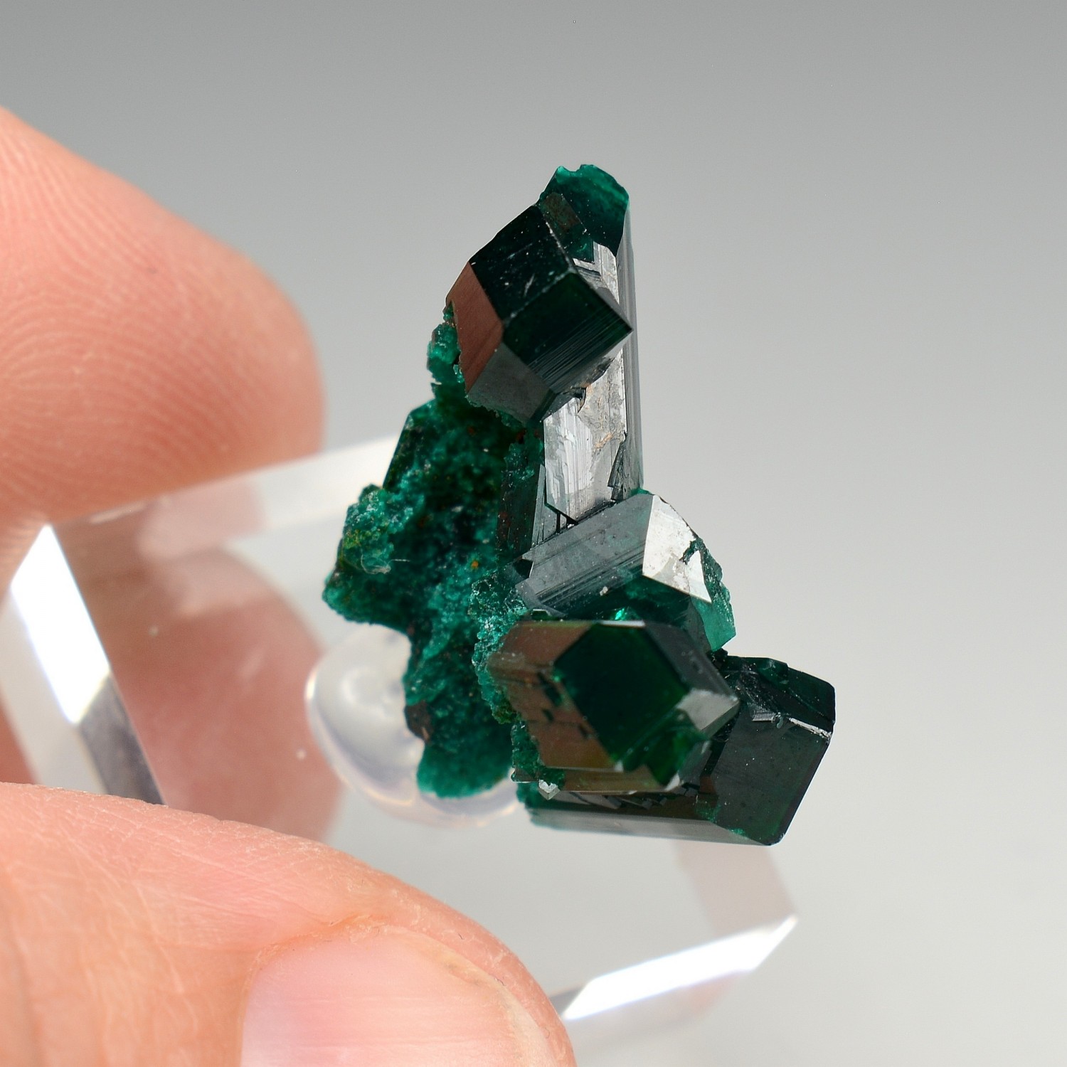 Dioptase - N'tola, mining district of Mindouli, Republic of the Congo