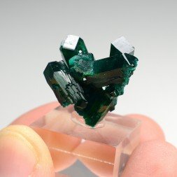 Dioptase - N'tola, District minier de Mindouli, République du Congo