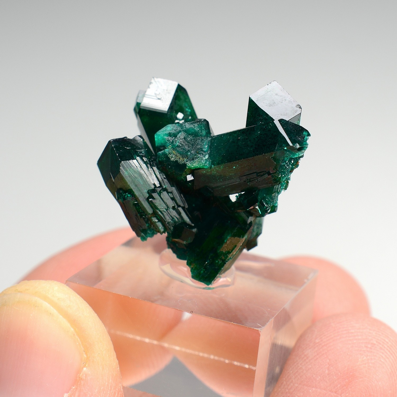Dioptase - N'tola, mining district of Mindouli, Republic of the Congo