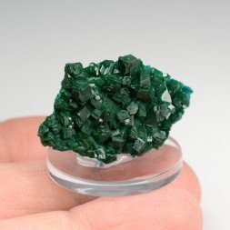 Dioptase - N'tola, mining district of Mindouli, Republic of the Congo