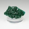 Dioptase - N'tola, District minier de Mindouli, République du Congo