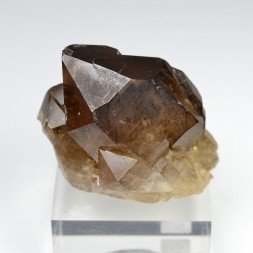 Quartz fumé - Les Rochassiers, massif du Mont-Blanc, Haute-Savoie, France