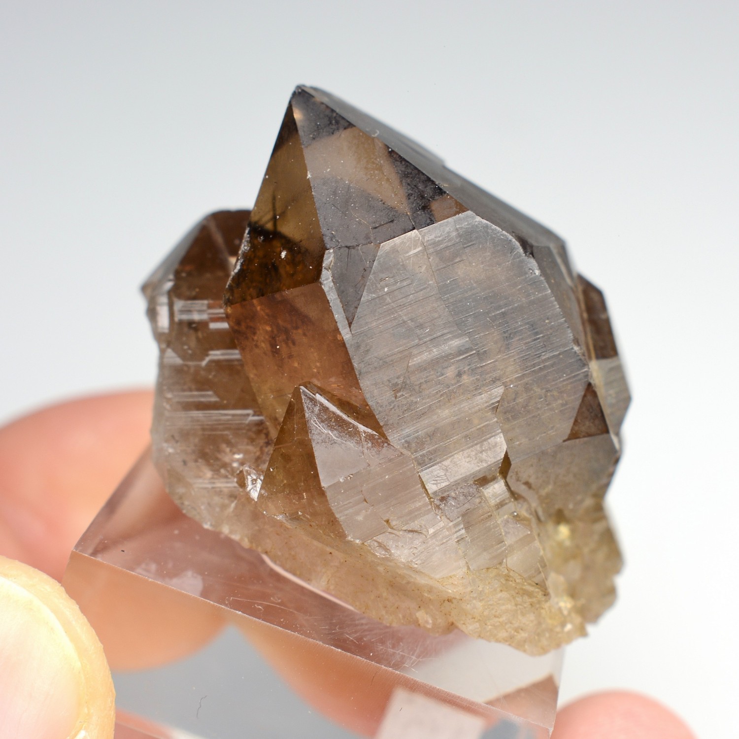 Quartz fumé - Les Rochassiers, massif du Mont-Blanc, Haute-Savoie, France