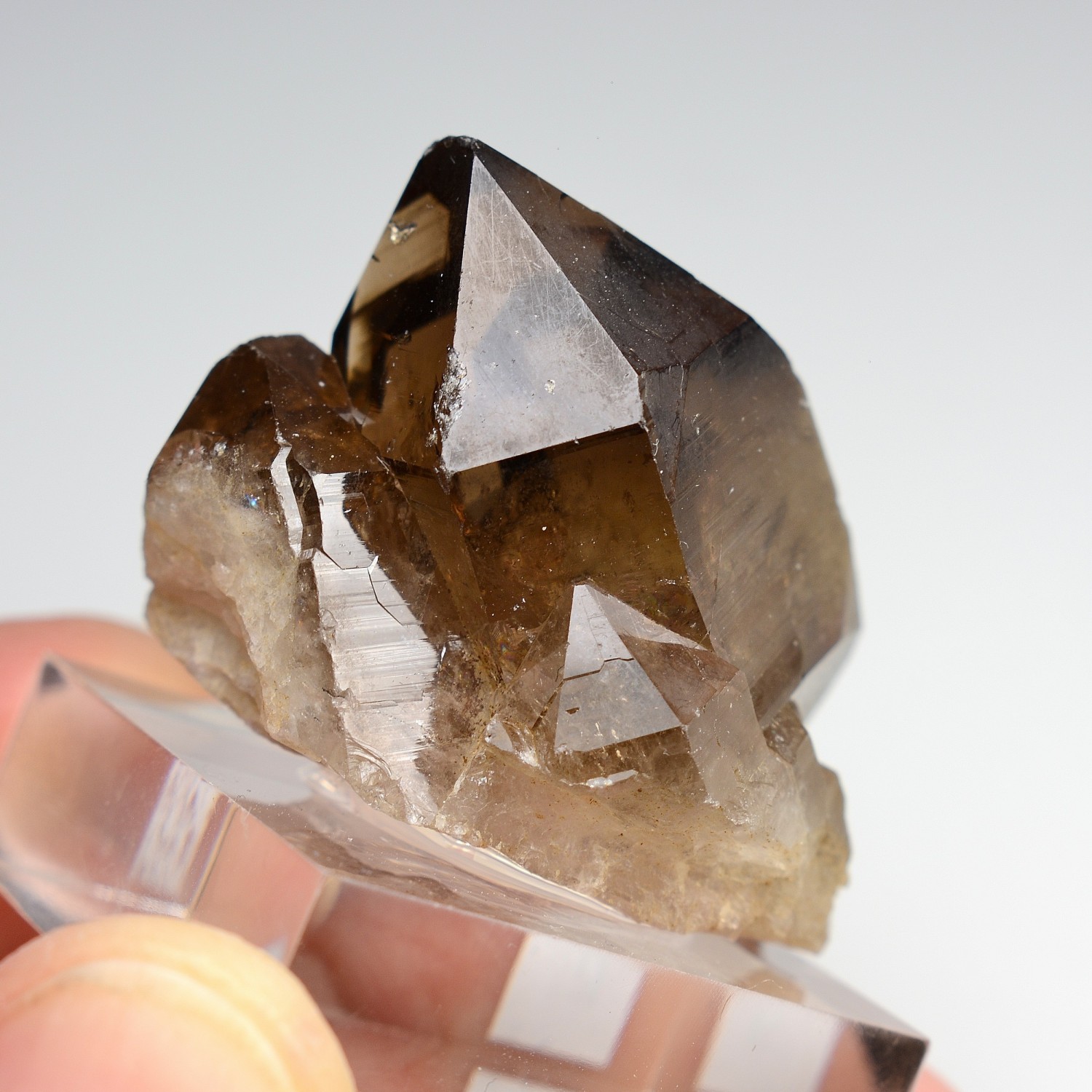 Quartz fumé - Les Rochassiers, massif du Mont-Blanc, Haute-Savoie, France