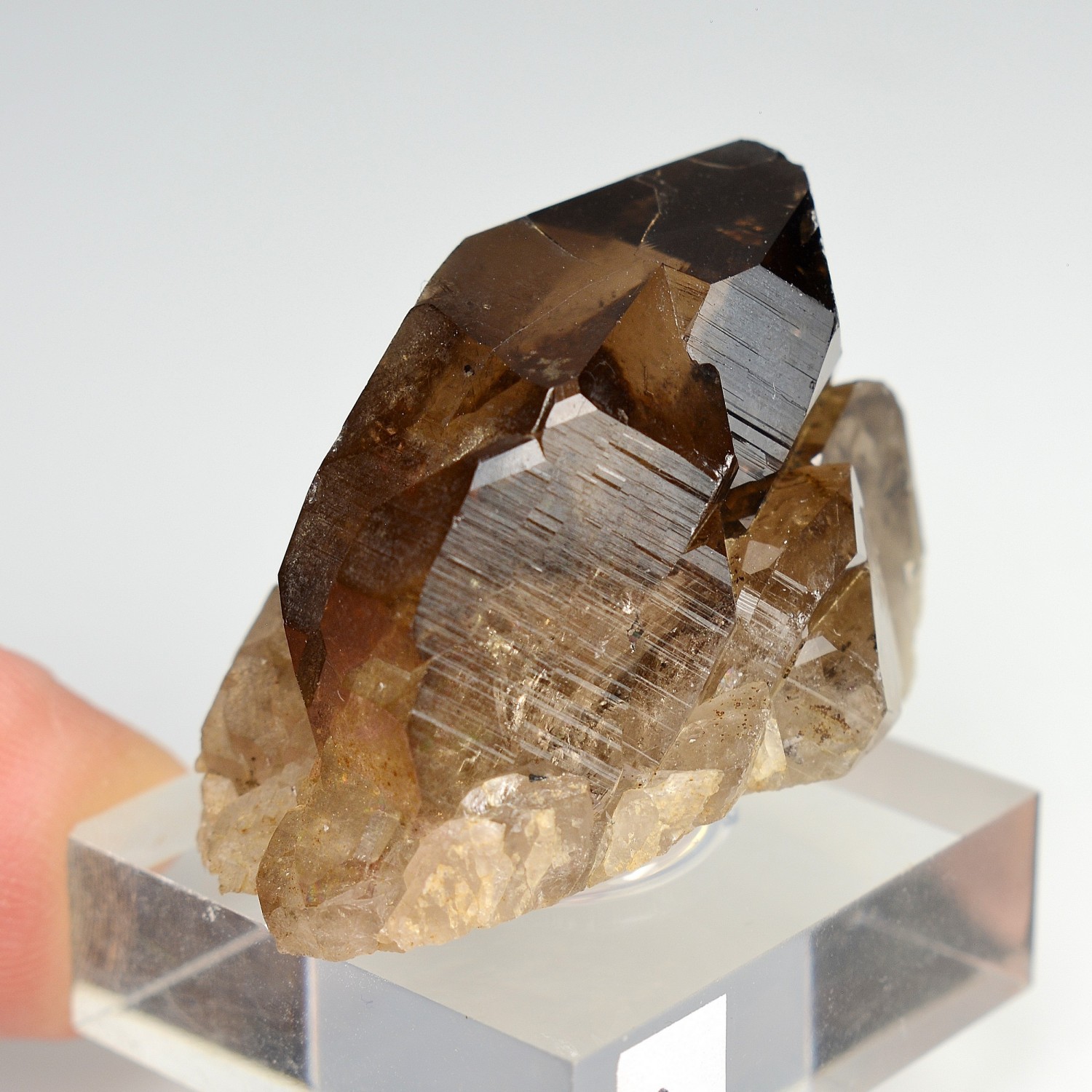 Quartz fumé - Les Rochassiers, massif du Mont-Blanc, Haute-Savoie, France