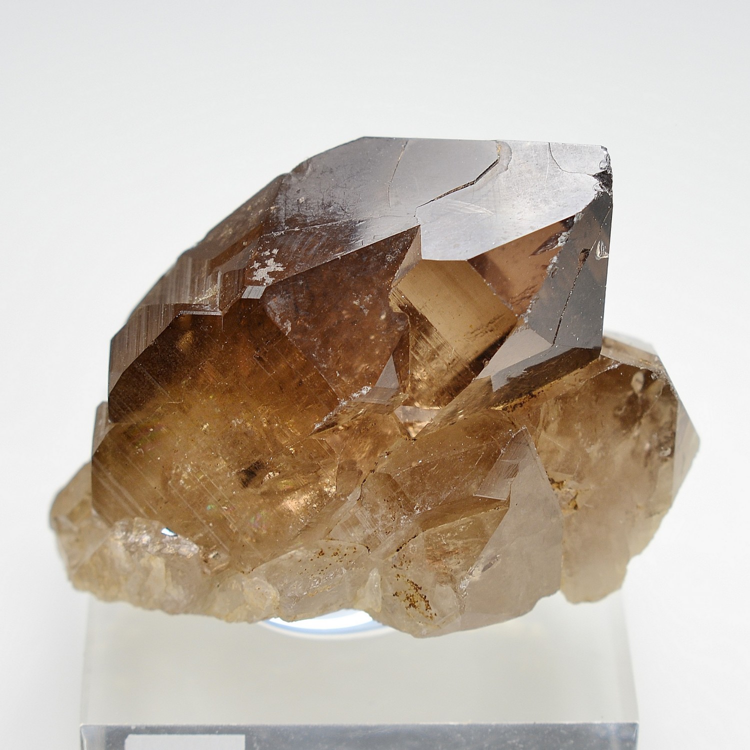 Quartz fumé - Les Rochassiers, massif du Mont-Blanc, Haute-Savoie, France