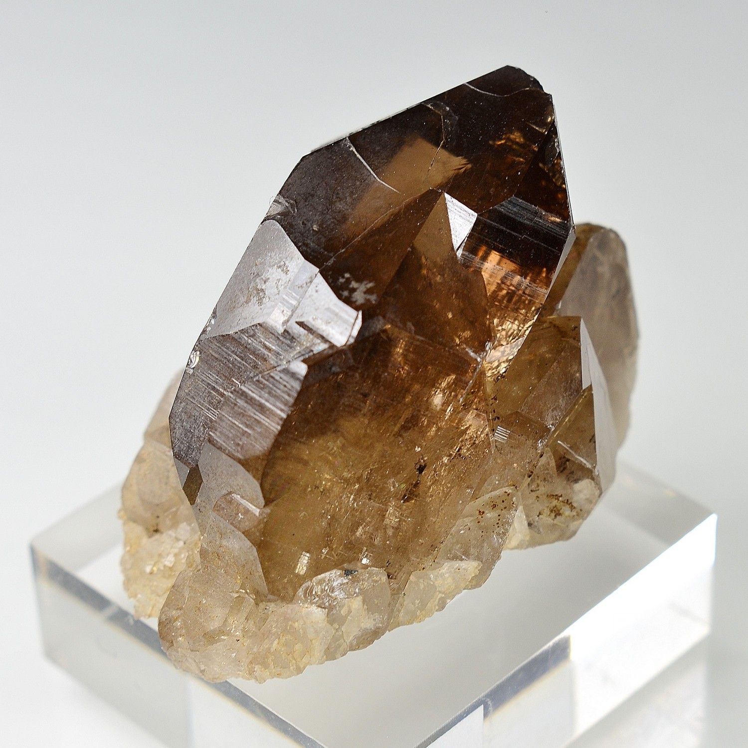 Quartz fumé - Les Rochassiers, massif du Mont-Blanc, Haute-Savoie, France