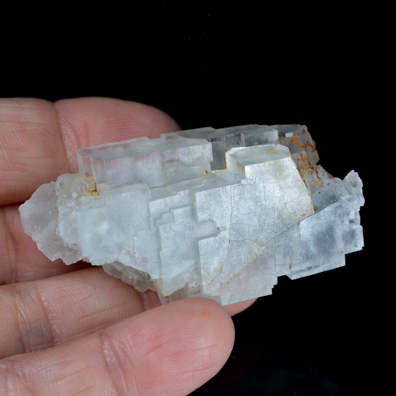 Fluorine - Le Franciman,  Tarn, France