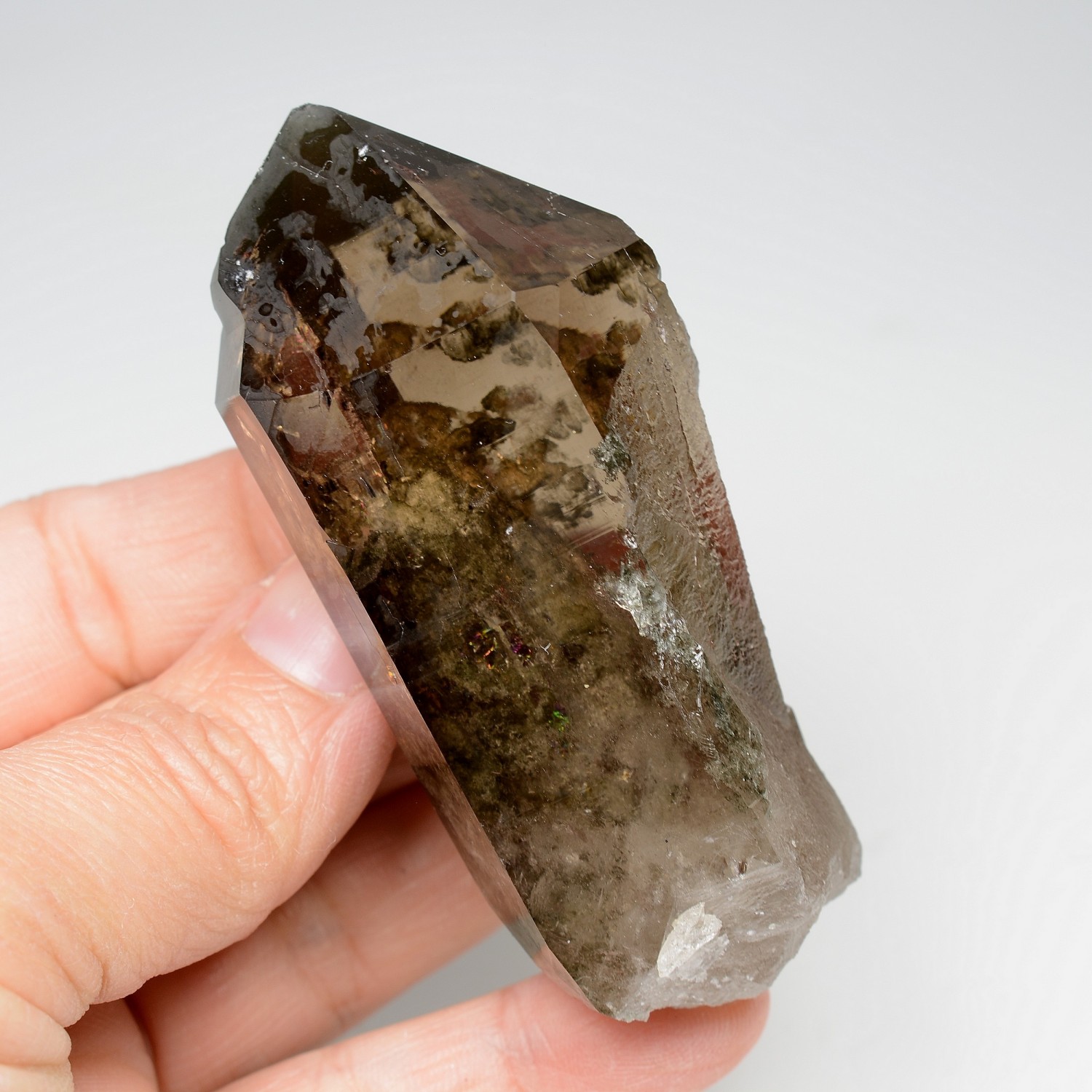 Quartz fumé - Les Courtes, massif du Mont-Blanc, Haute-Savoie, France