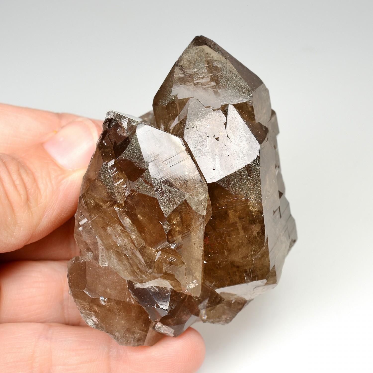 Quartz fumé - Les Courtes, massif du Mont-Blanc, Haute-Savoie, France