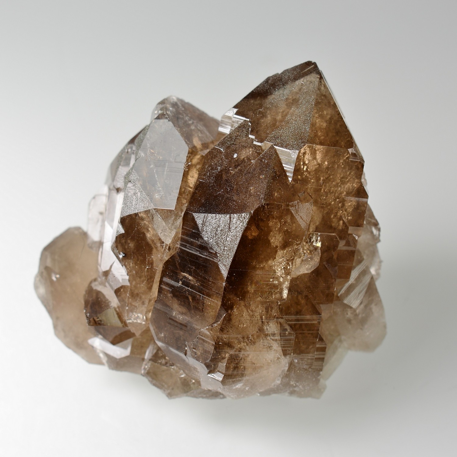 Quartz fumé - Les Courtes, massif du Mont-Blanc, Haute-Savoie, France