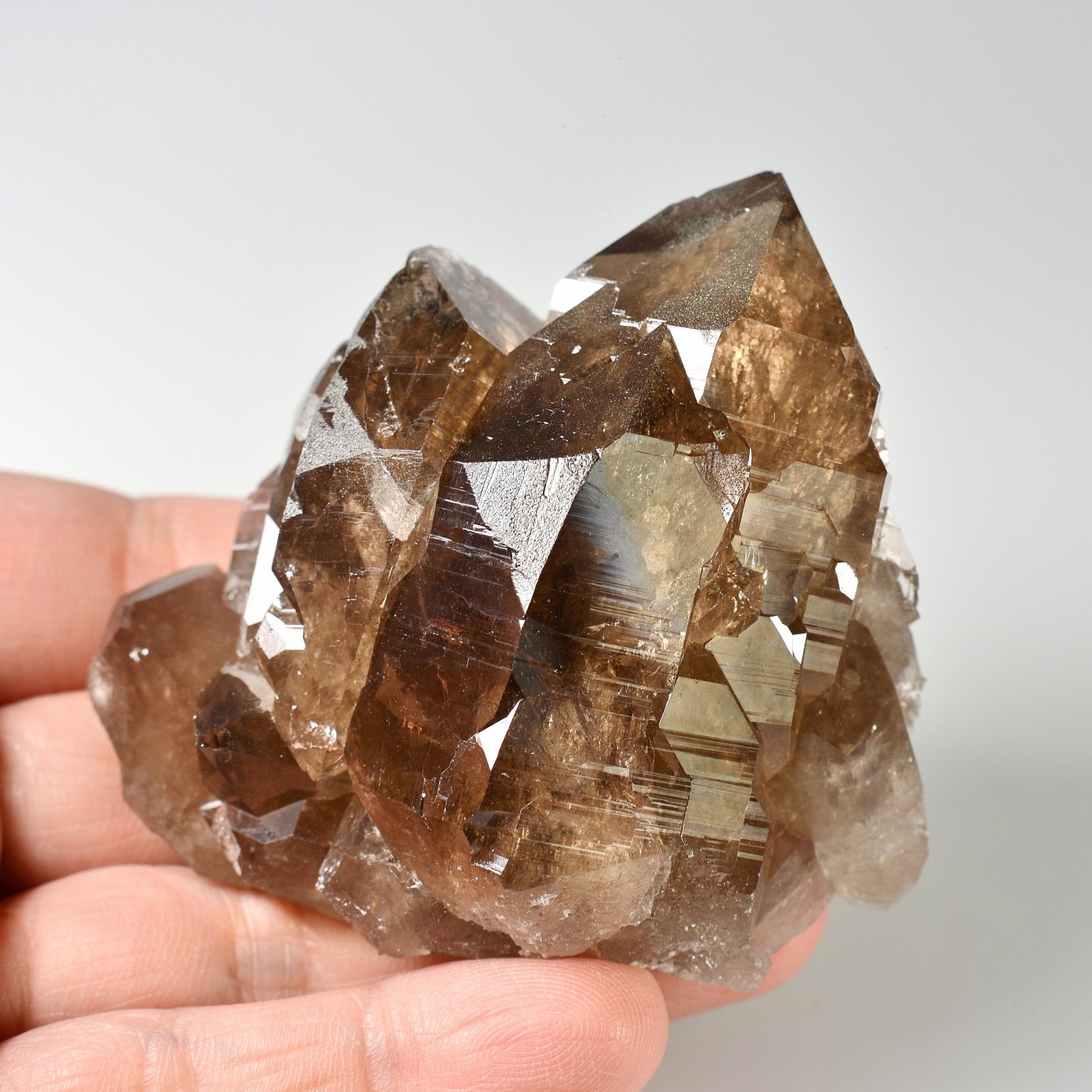 Quartz fumé - Les Courtes, massif du Mont-Blanc, Haute-Savoie, France