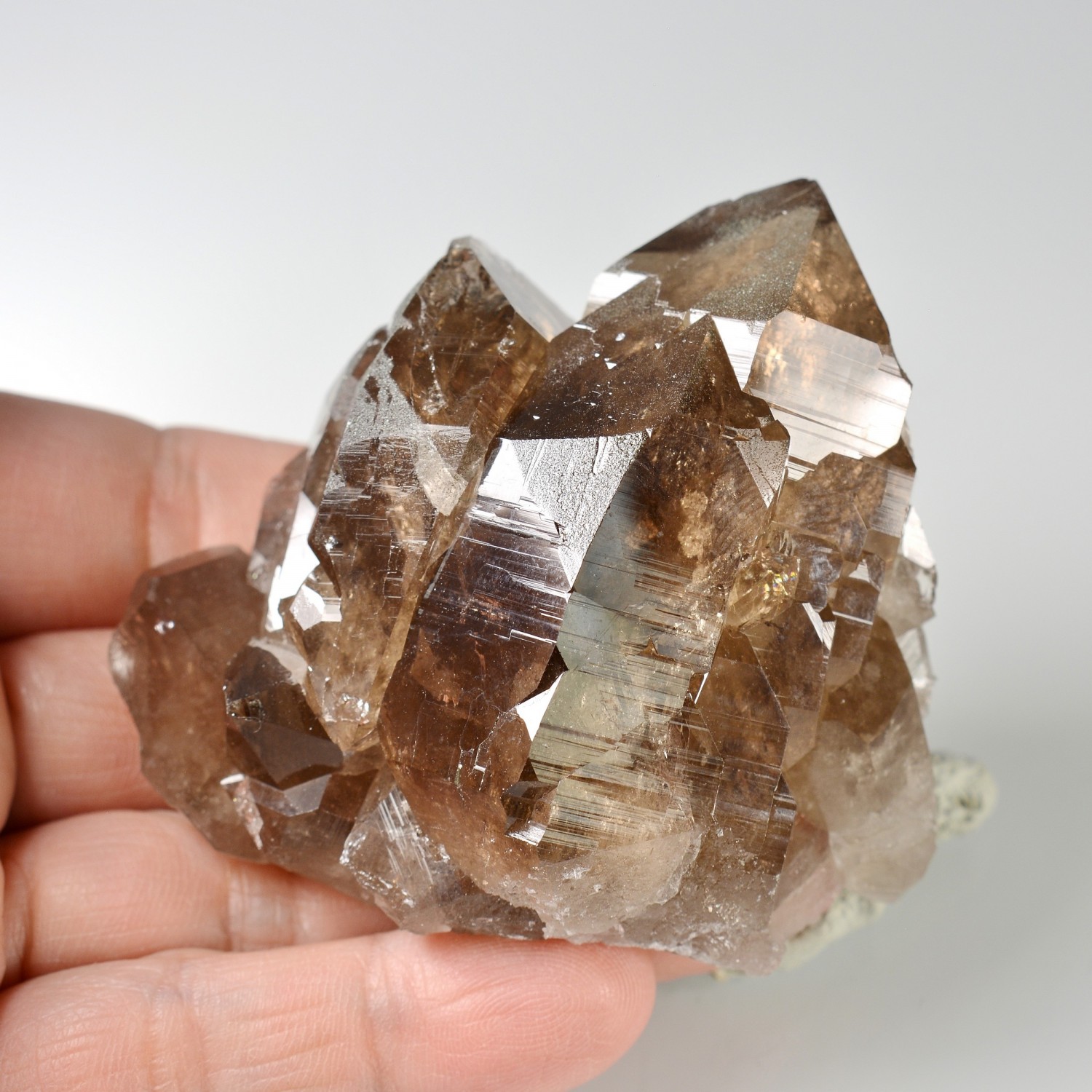 Quartz fumé - Les Courtes, massif du Mont-Blanc, Haute-Savoie, France
