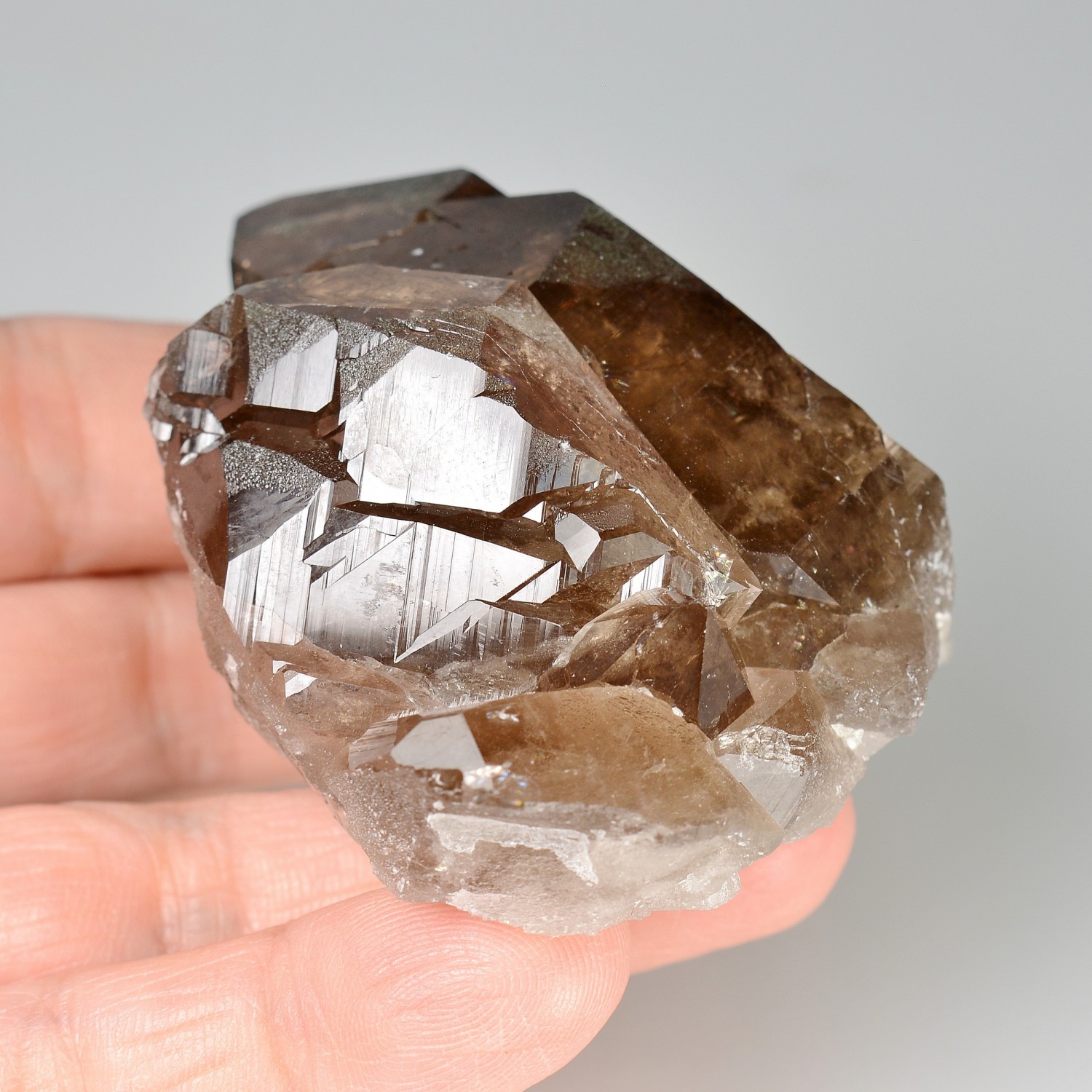 Quartz fumé - Les Courtes, massif du Mont-Blanc, Haute-Savoie, France