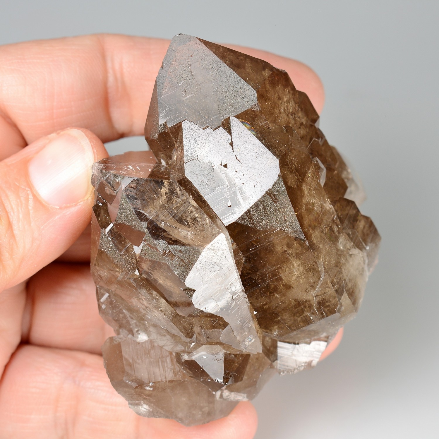 Quartz fumé - Les Courtes, massif du Mont-Blanc, Haute-Savoie, France