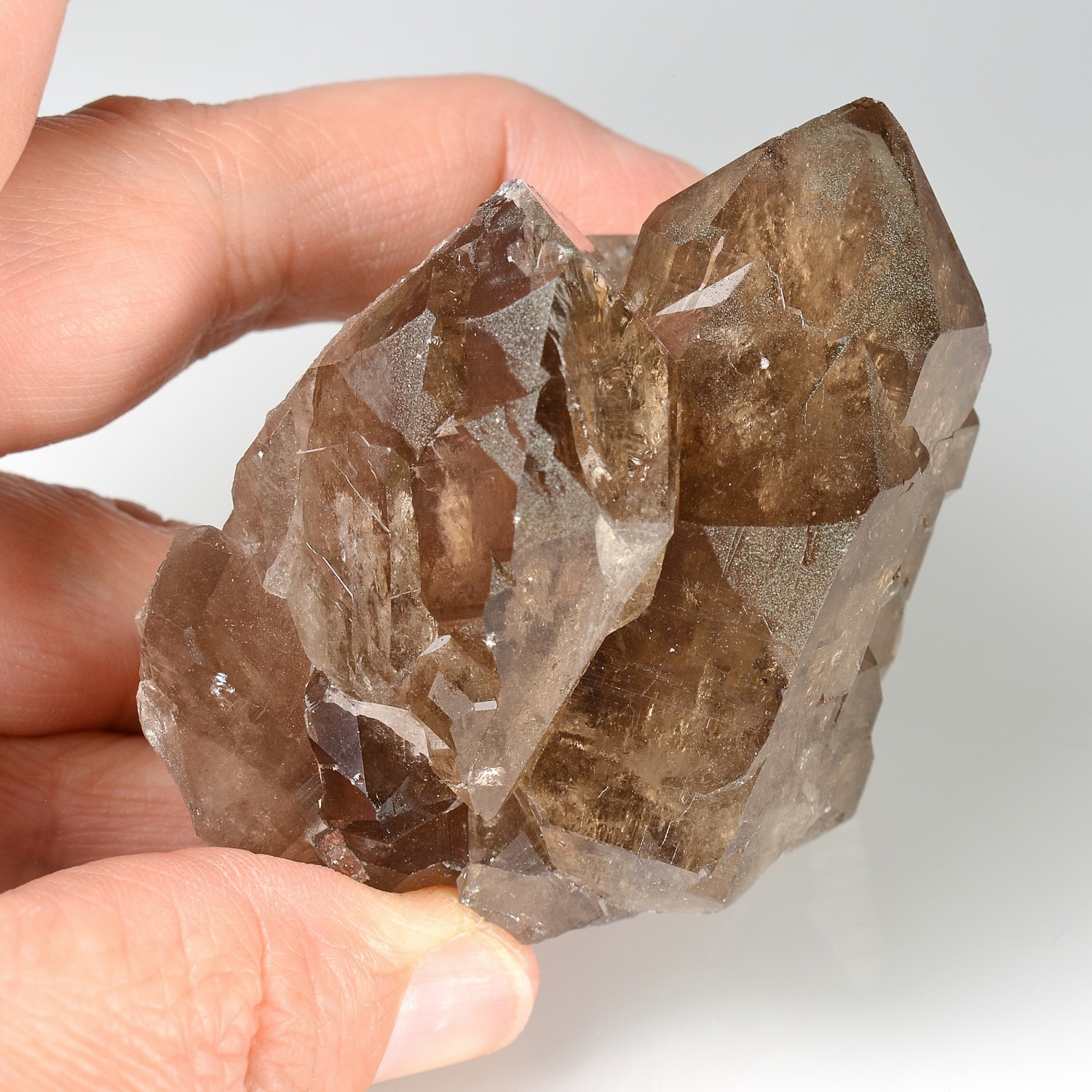 Quartz fumé - Les Courtes, massif du Mont-Blanc, Haute-Savoie, France