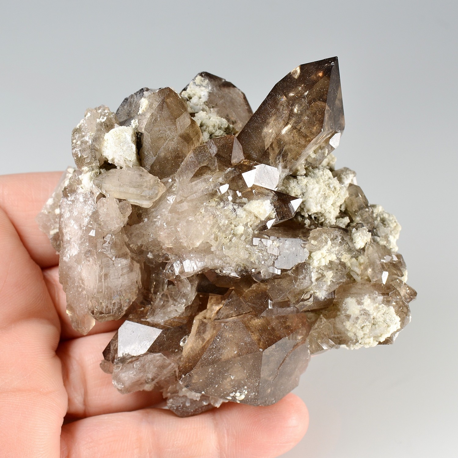 Quartz fumé - Les Courtes, massif du Mont-Blanc, Haute-Savoie, France