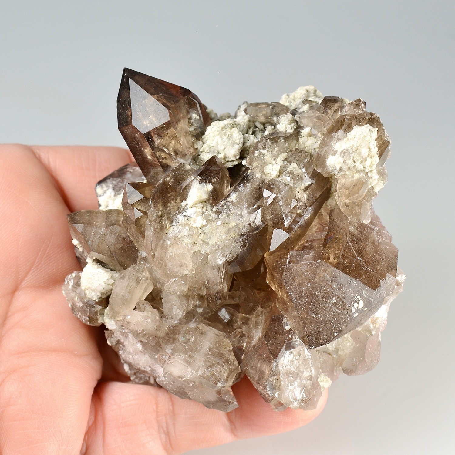 Quartz fumé - Les Courtes, massif du Mont-Blanc, Haute-Savoie, France