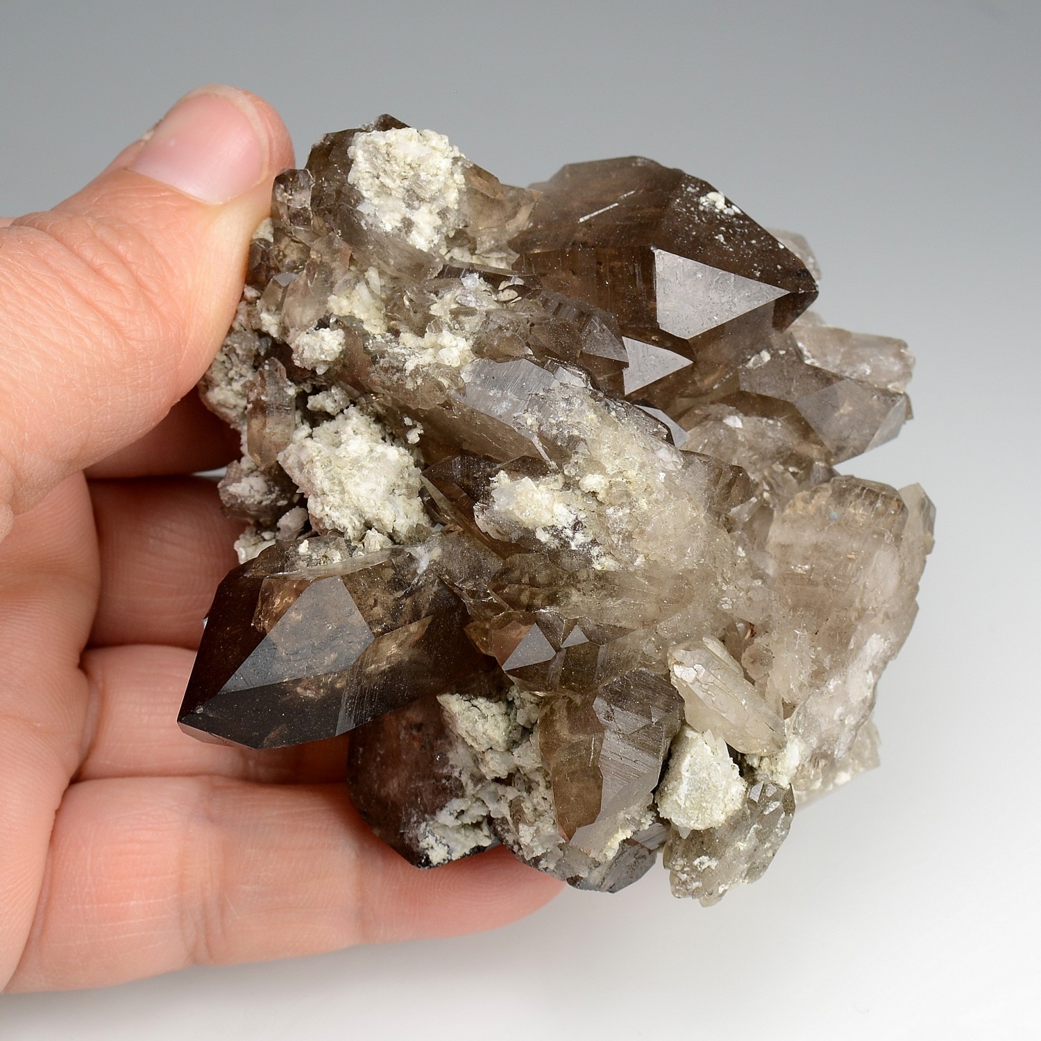 Quartz fumé - Les Courtes, massif du Mont-Blanc, Haute-Savoie, France