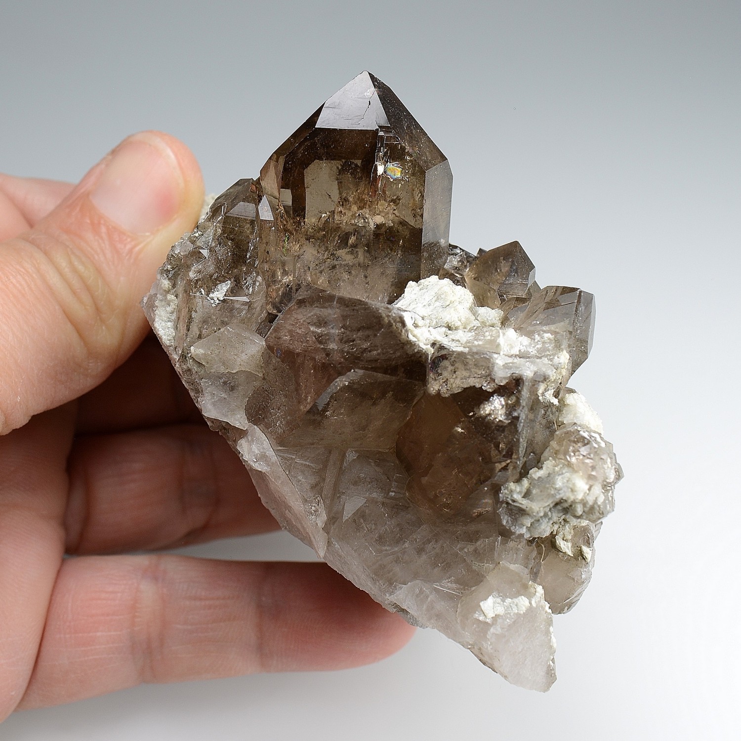 Quartz fumé - Les Courtes, massif du Mont-Blanc, Haute-Savoie, France