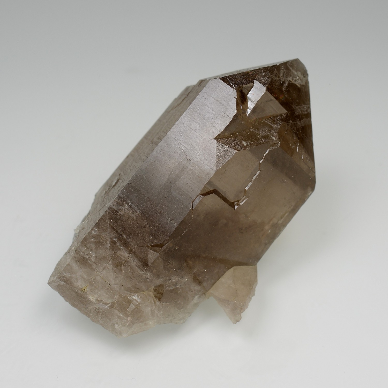 Quartz fumé - Les Courtes, massif du Mont-Blanc, Haute-Savoie, France