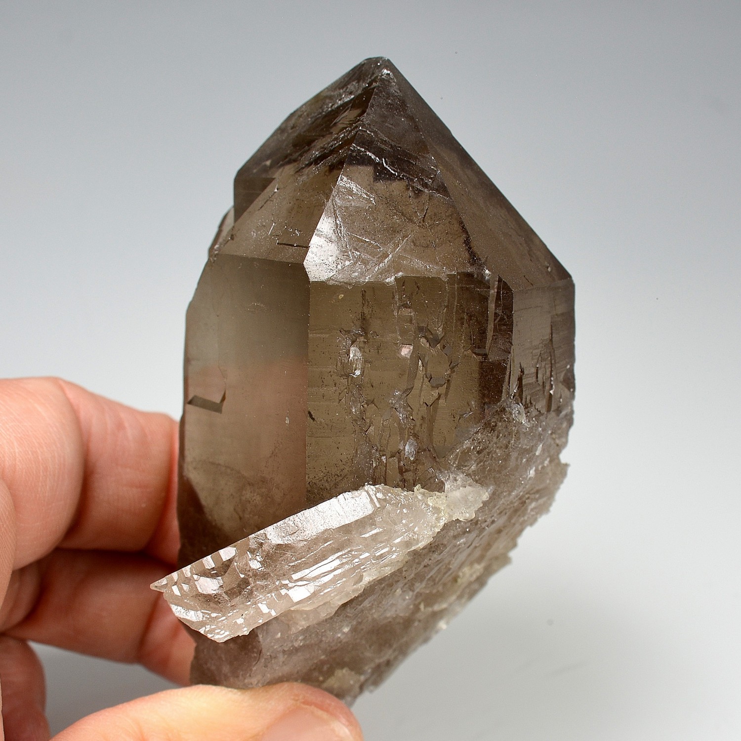 Quartz fumé - Les Courtes, massif du Mont-Blanc, Haute-Savoie, France