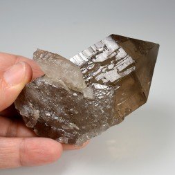 Quartz fumé - Les Courtes, massif du Mont-Blanc, Haute-Savoie, France