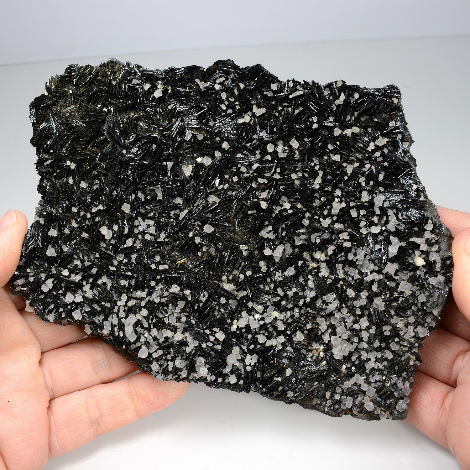 Fluorine et hématite - Face Sud des Droites, massif du Mont-Blanc, Haute-Savoie, France