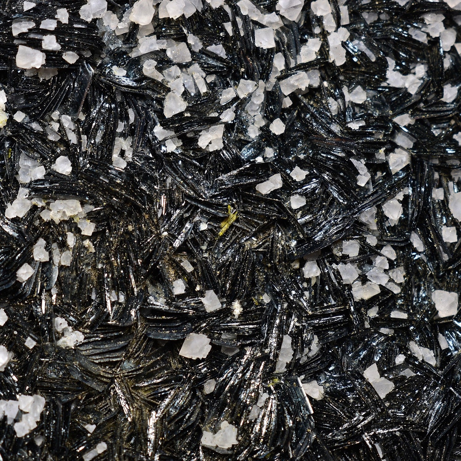 Fluorine et hématite - Face Sud des Droites, massif du Mont-Blanc, Haute-Savoie, France
