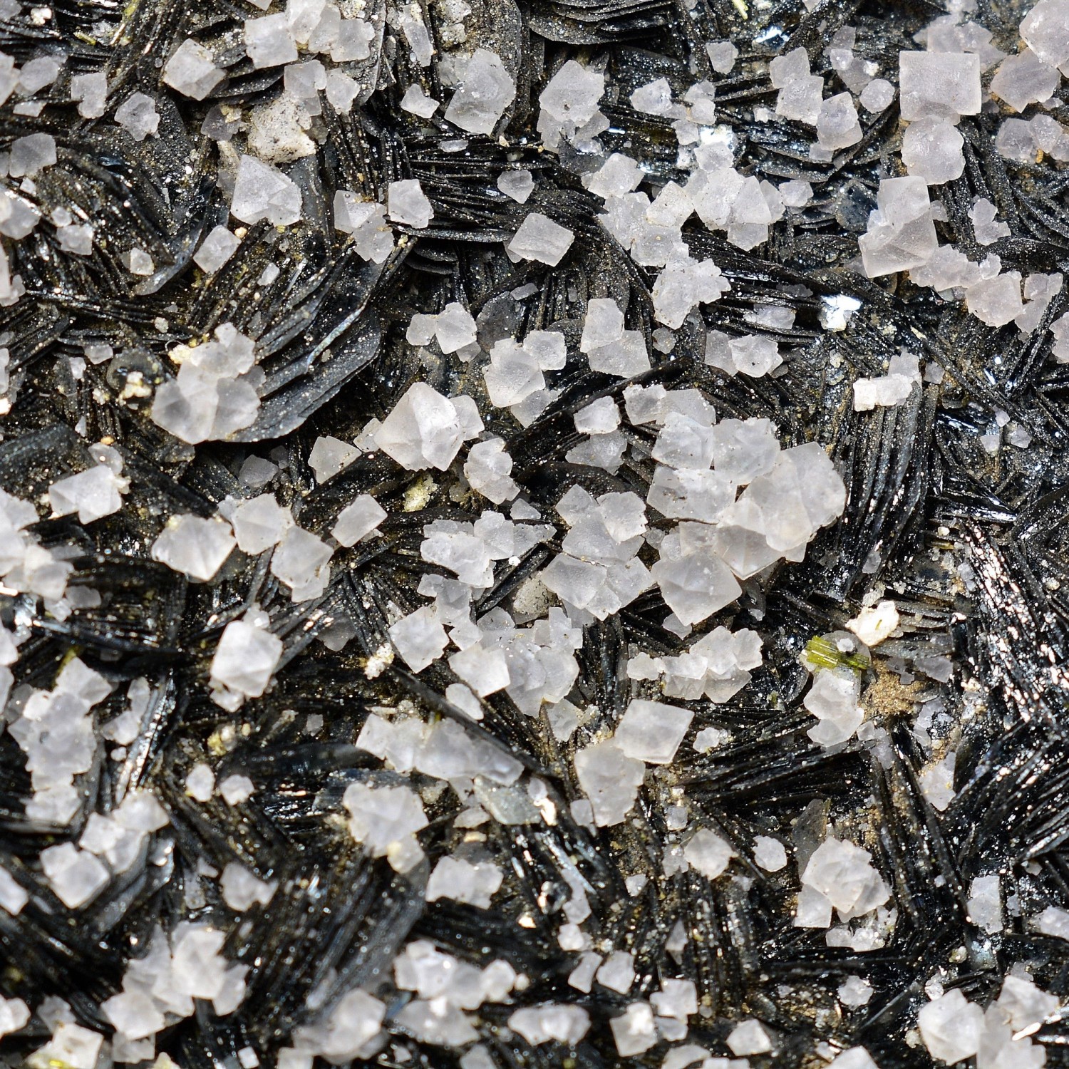 Fluorine et hématite - Face Sud des Droites, massif du Mont-Blanc, Haute-Savoie, France