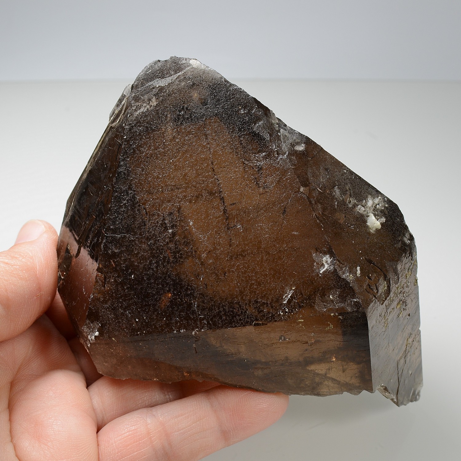 Smoky quartz - Les Courtes, Mont-Blanc massif, Haute-Savoie, France