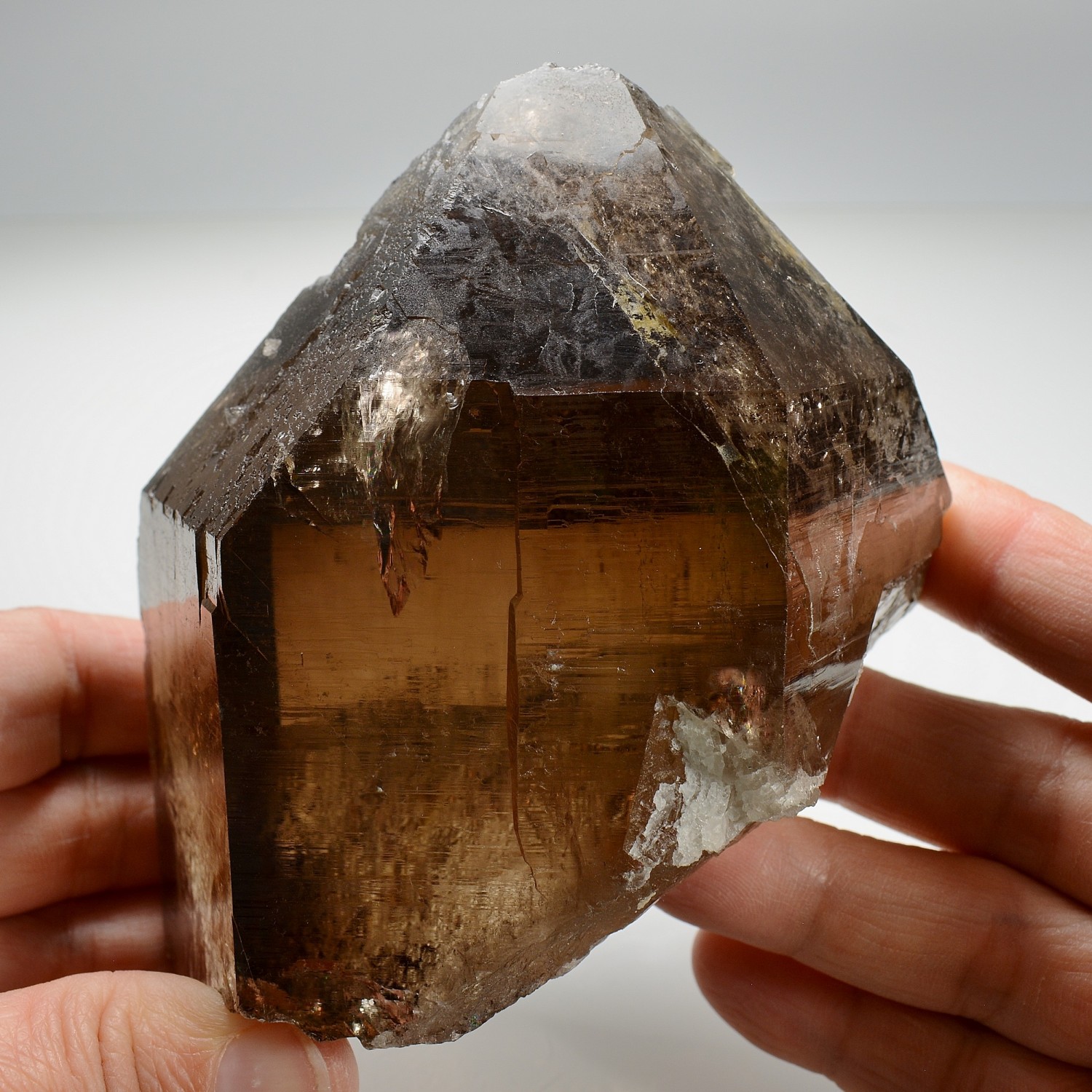 Smoky quartz - Les Courtes, Mont-Blanc massif, Haute-Savoie, France